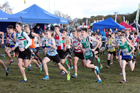 Boys under-15s National Cross Country Relay, Berry Hill Park, Mansfield. Photo:  David T. Hewitson/Sports for All Pics